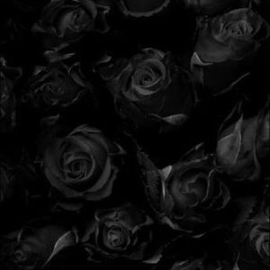 Meet your Posher, Raymond